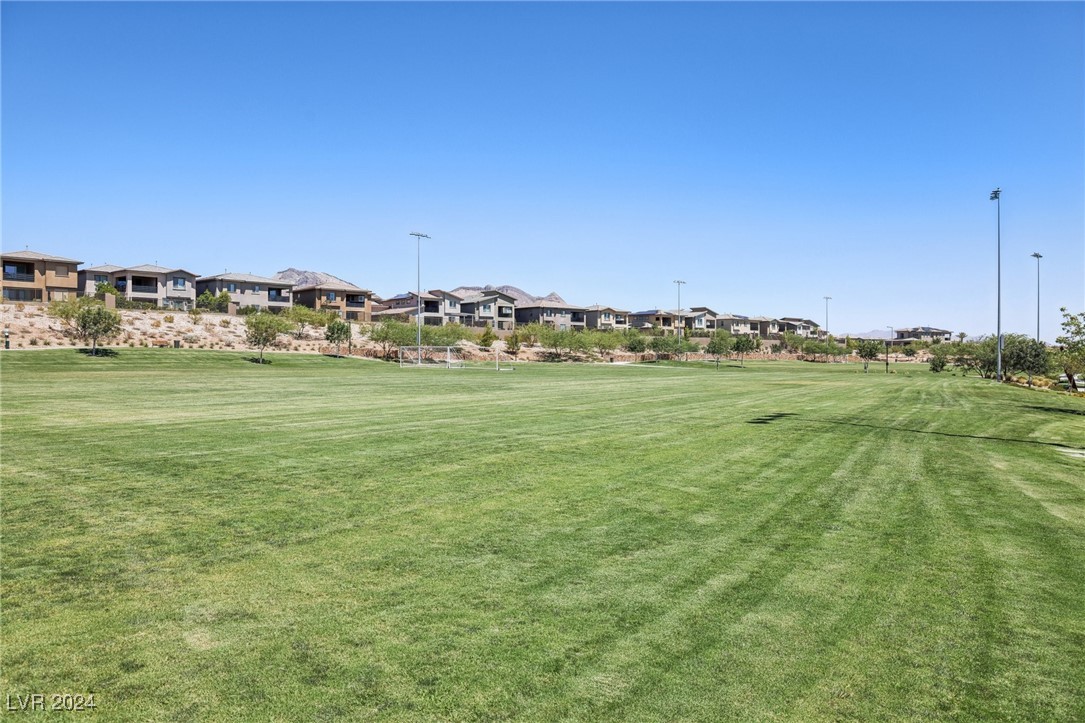 12529 Starry Heaven Street