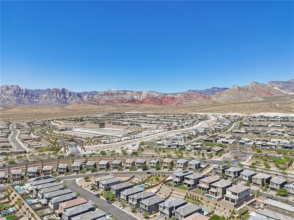12529 Starry Heaven Street