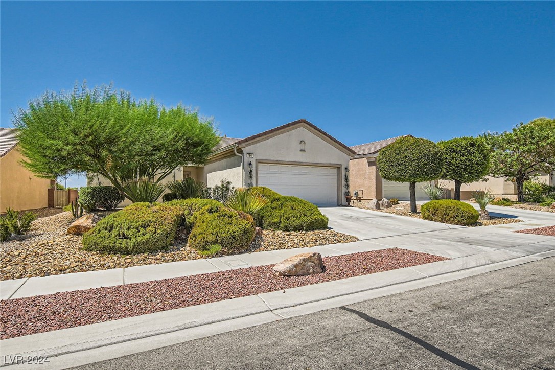 7849 Widewing Drive