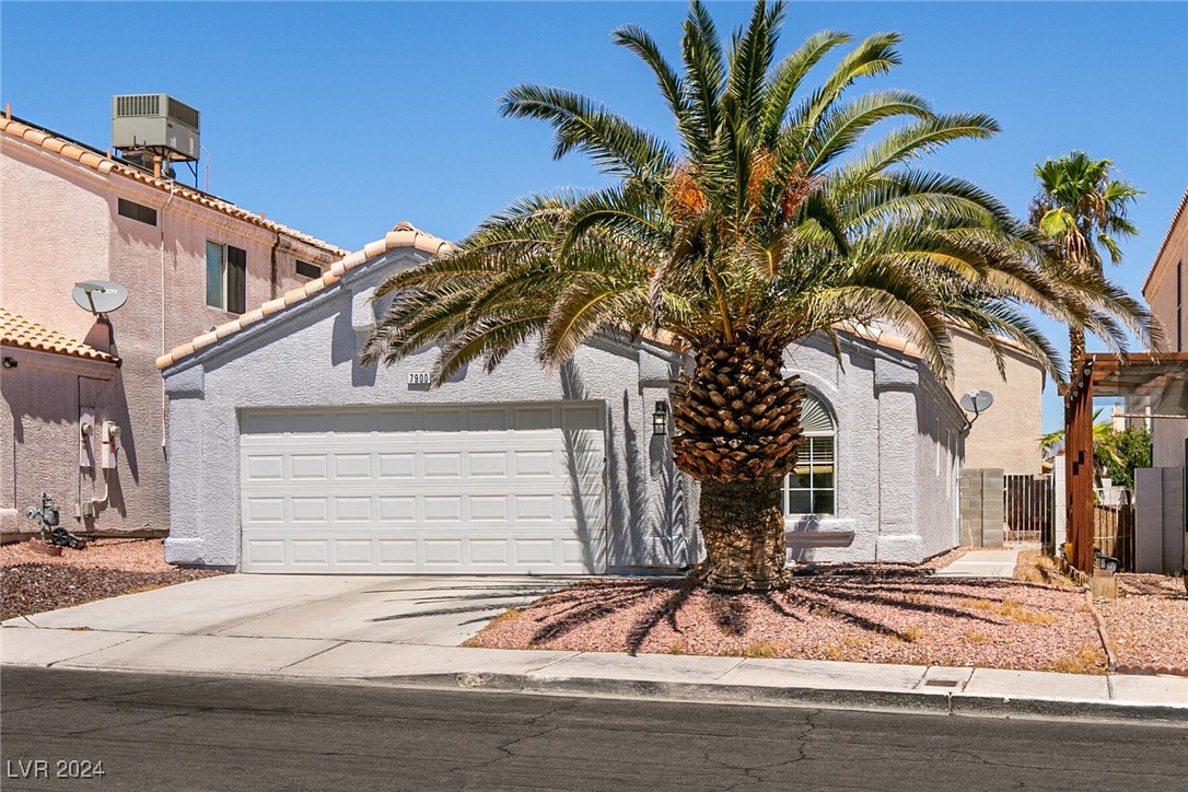 7900 Cherry River Drive