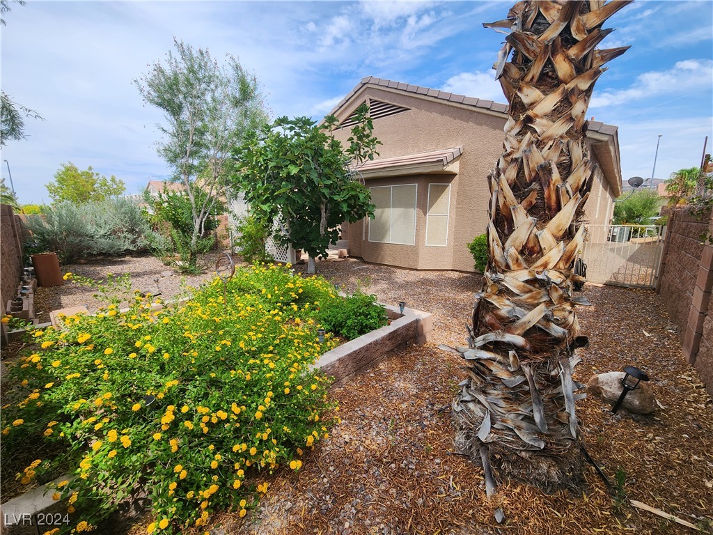 559 Carmel Valley Street