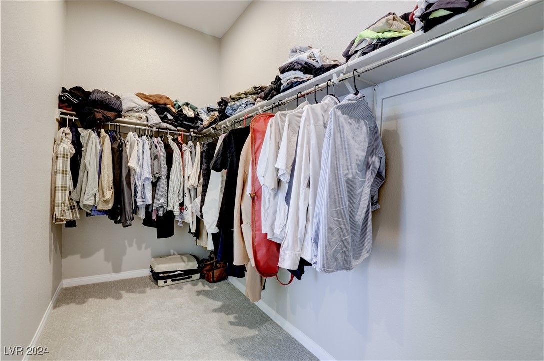 11623 Hatchling Avenue