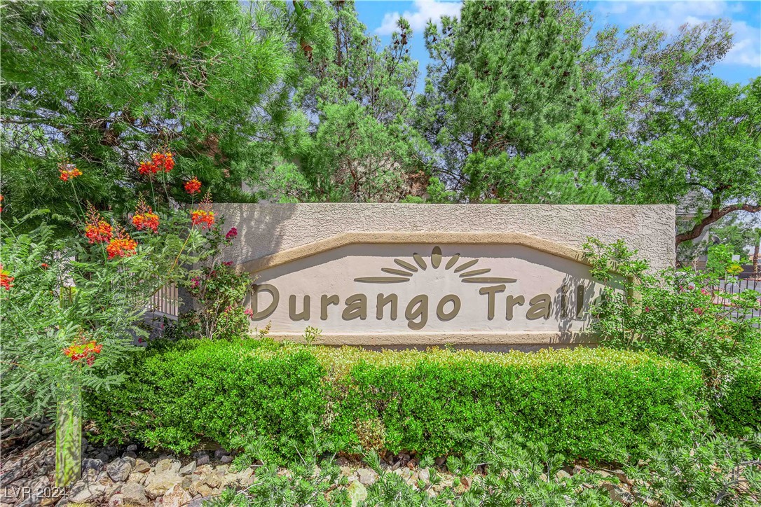 1339 Dusty Creek Street 0