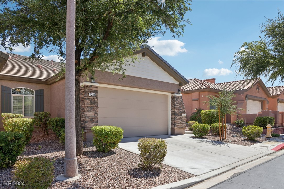 11233 Piper Peak Lane 0