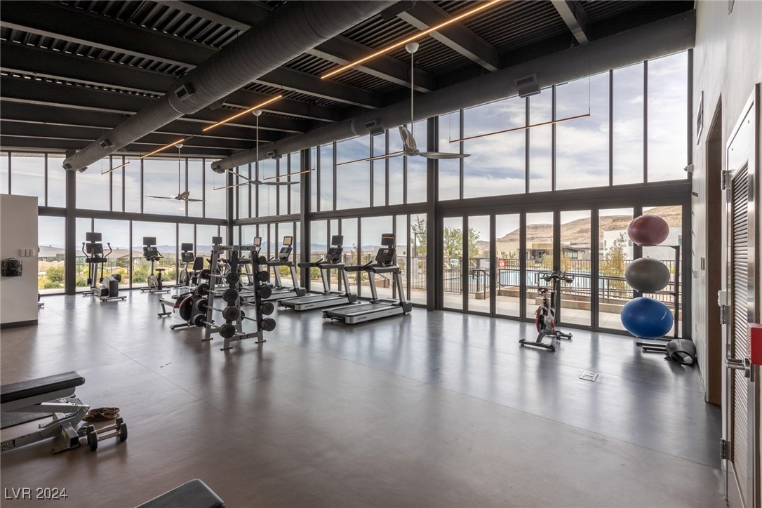 5162 Rock Daisy Drive