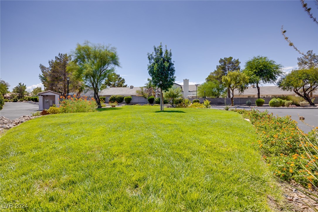 247 Borrego Drive