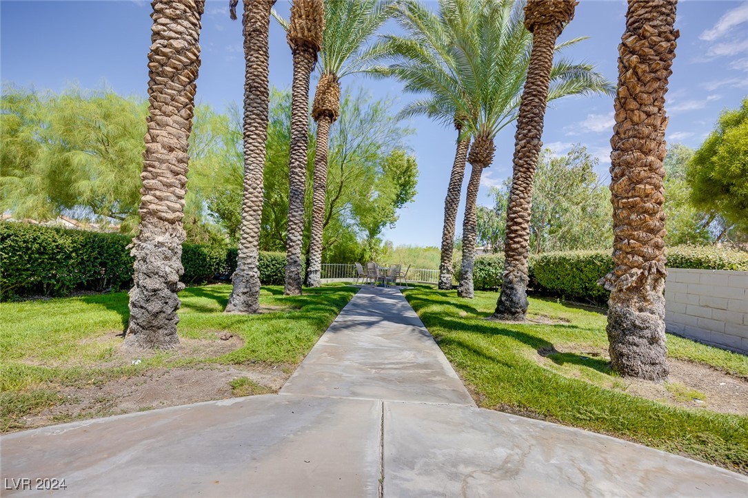 247 Borrego Drive