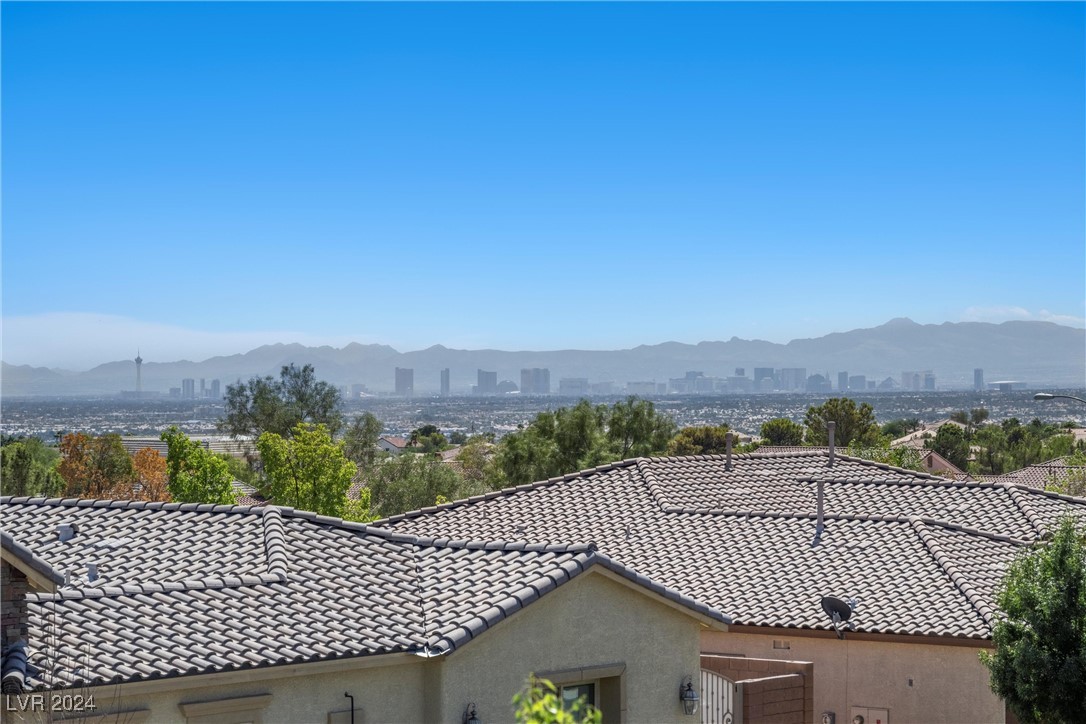 10437 Mount Mitchell Court