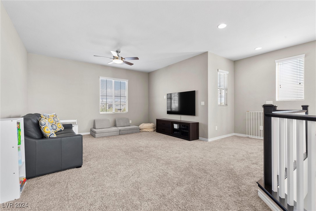 10437 Mount Mitchell Court