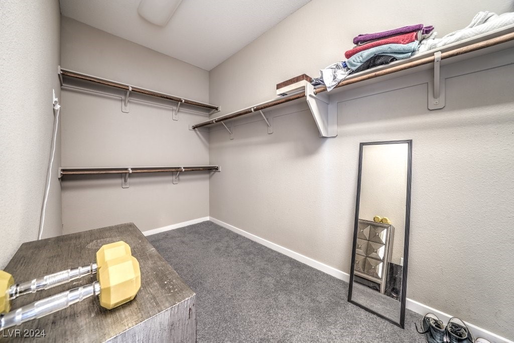 8219 Soapstone Creek Way