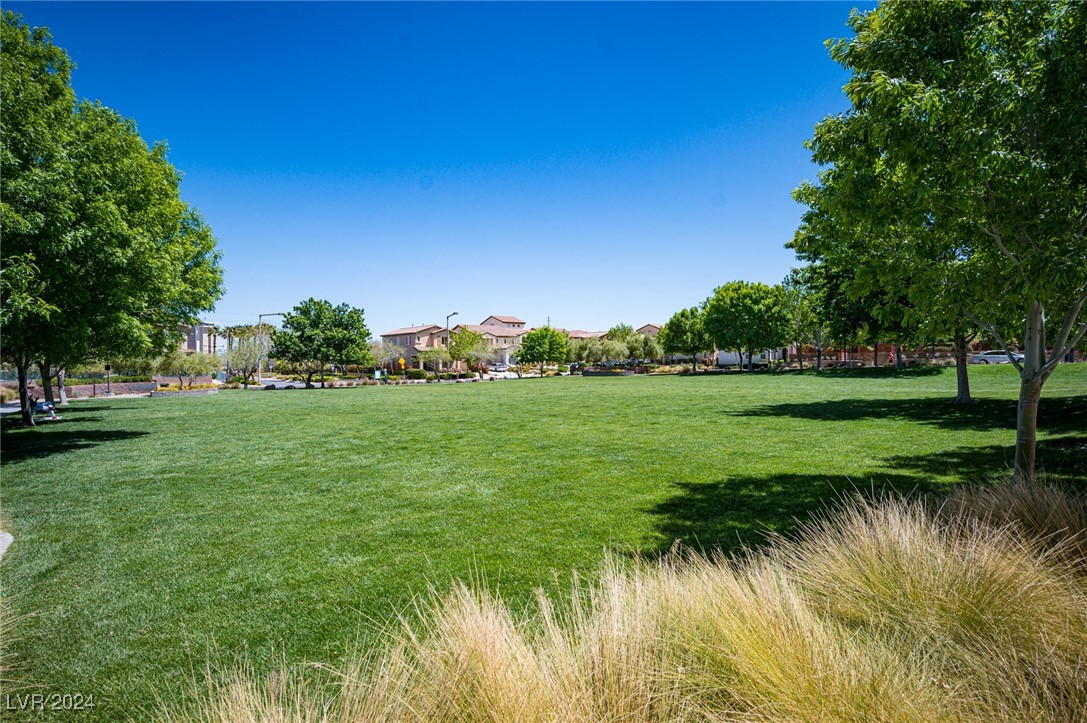 11338 Belmont Lake Drive 102