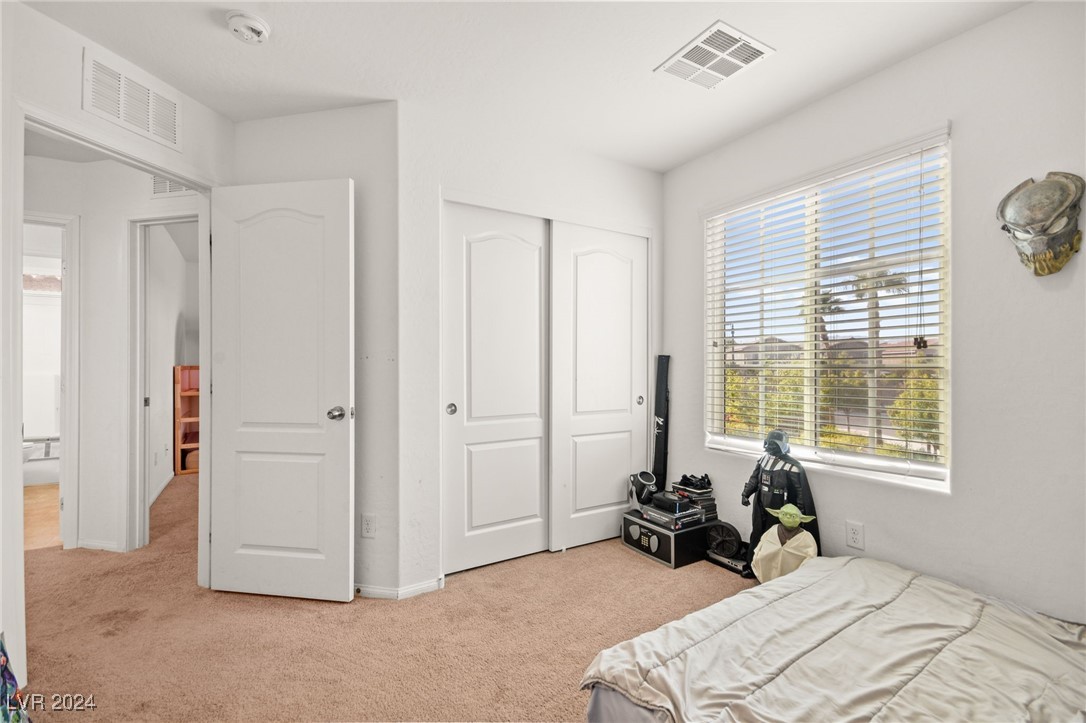 8044 Satin Carnation Lane