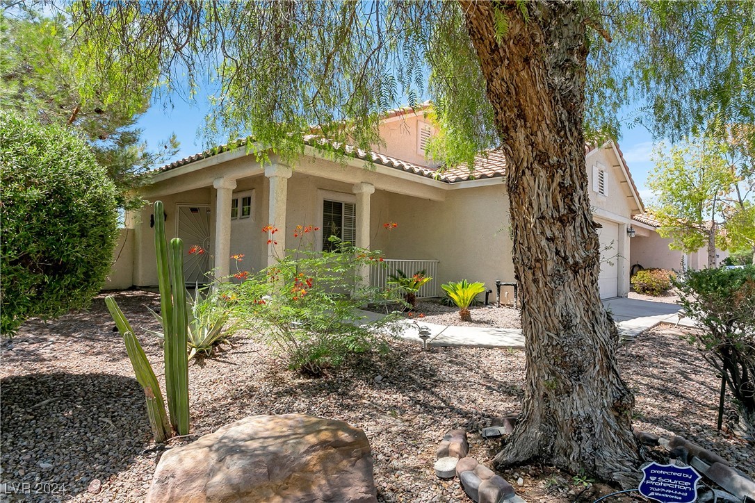 8001 Hesperides Avenue