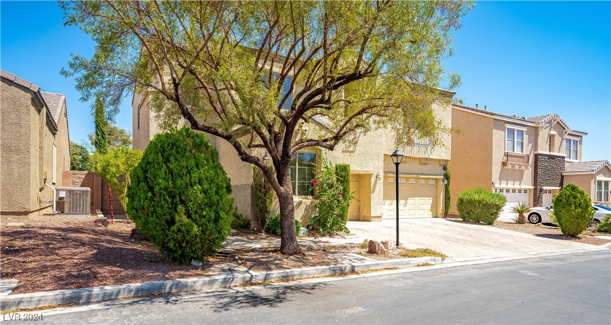 8108 Hopscotch Street