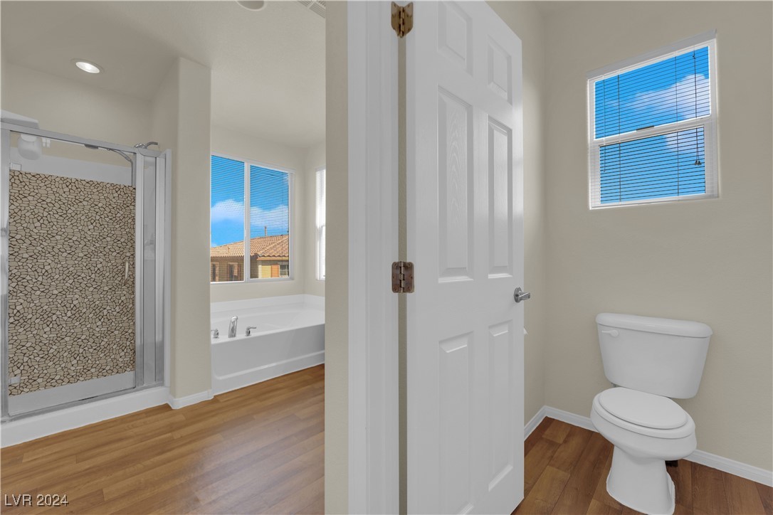 10524 La Campana Street