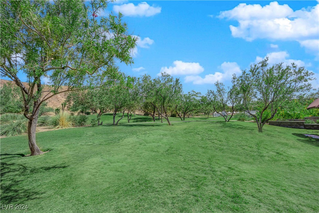 10524 La Campana Street