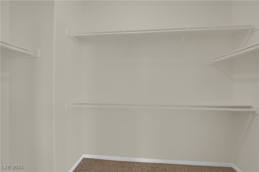 10524 La Campana Street