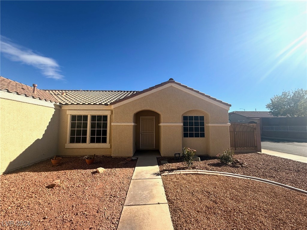 1010 Black Olive Street