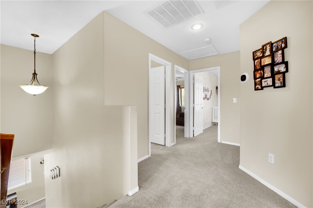 6750 Pastel Camellia Street