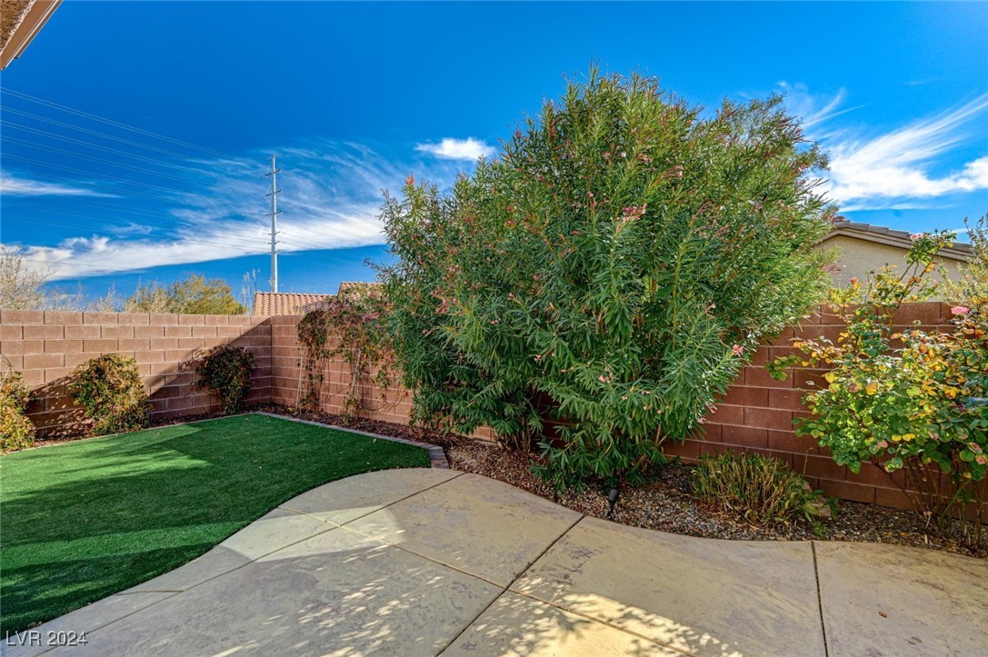 11233 Piper Peak Lane