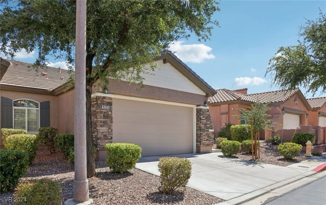 11233 Piper Peak Lane