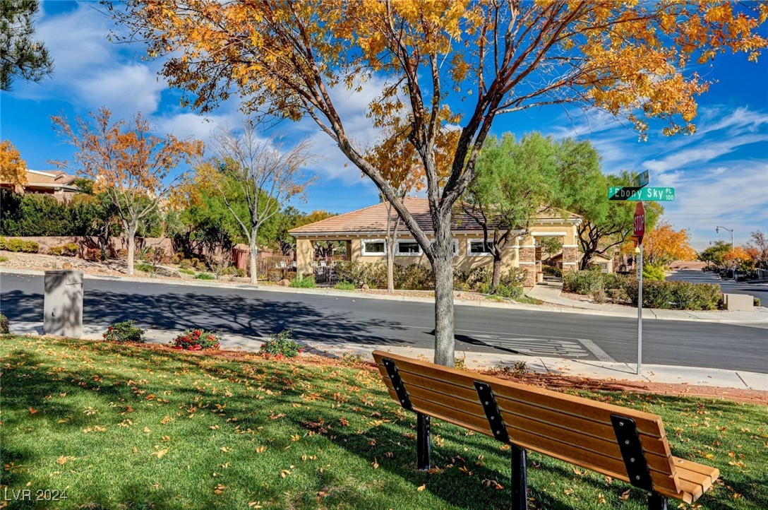 11233 Piper Peak Lane