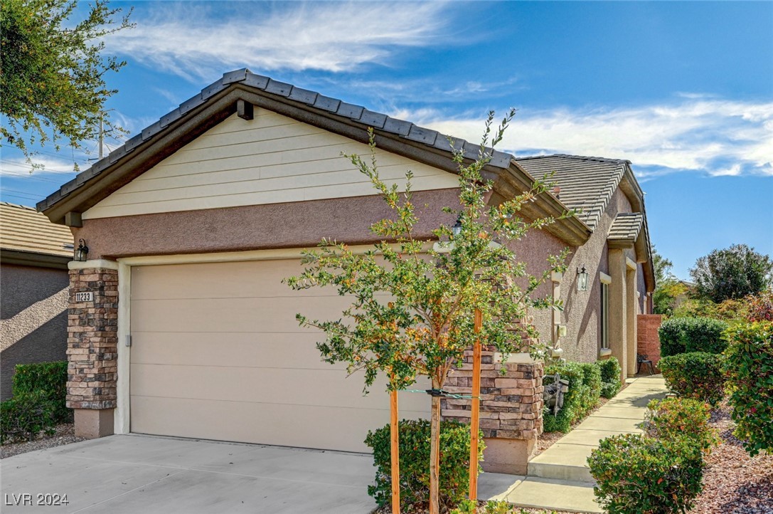 11233 Piper Peak Lane