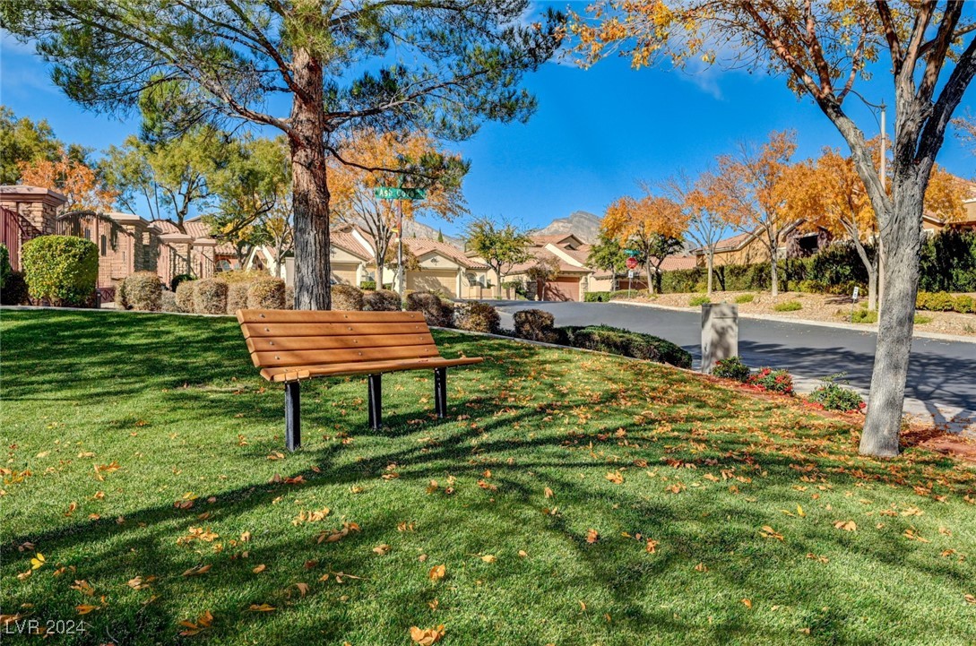 11233 Piper Peak Lane