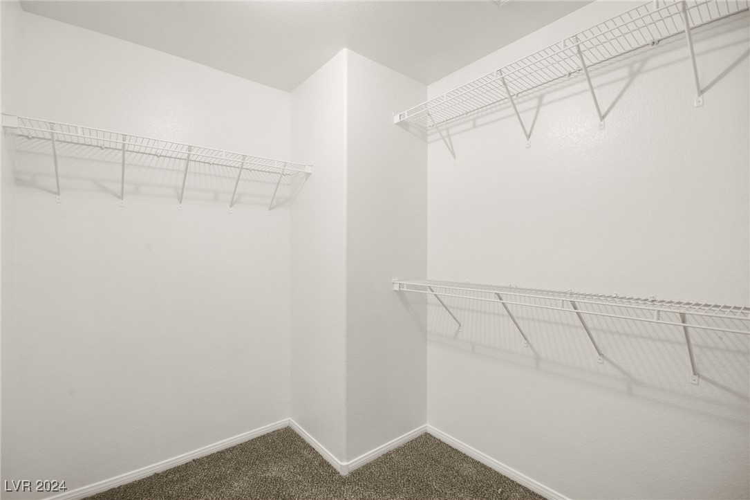 6116 Rabbit Track Street