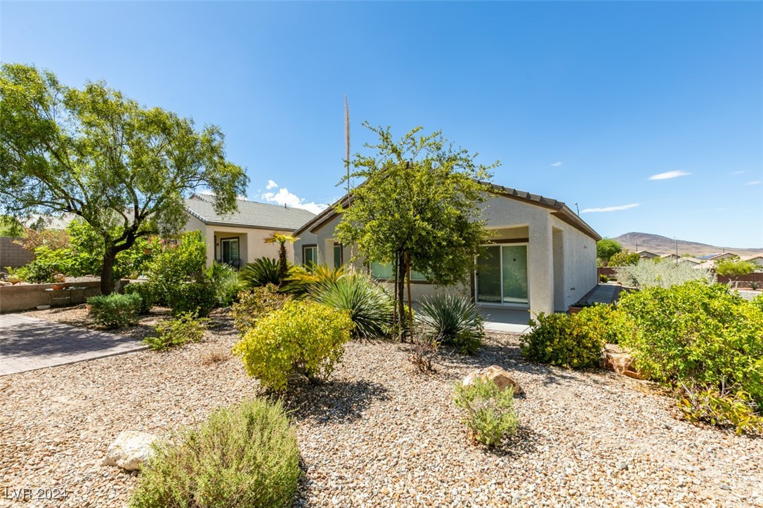 2549 Venus Star Street