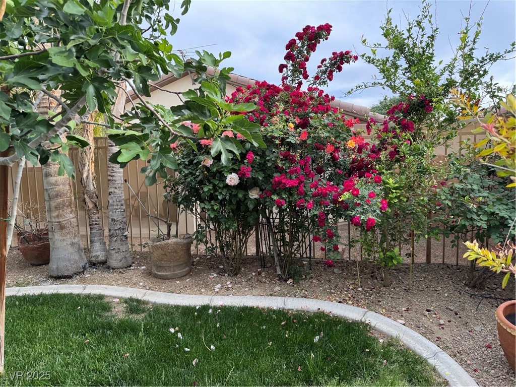 3709 Citrus Heights Avenue