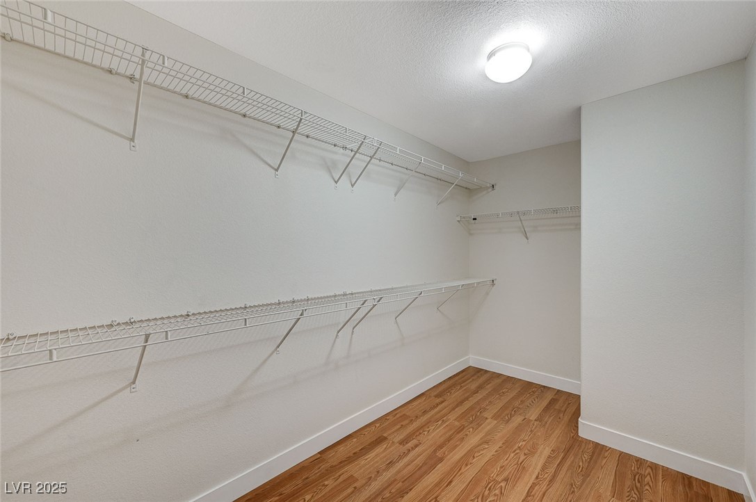 10224 Eve Springs Street