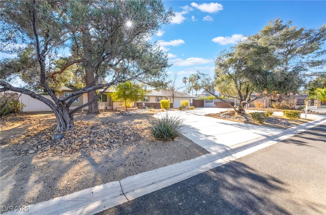 6377 Concho Lane