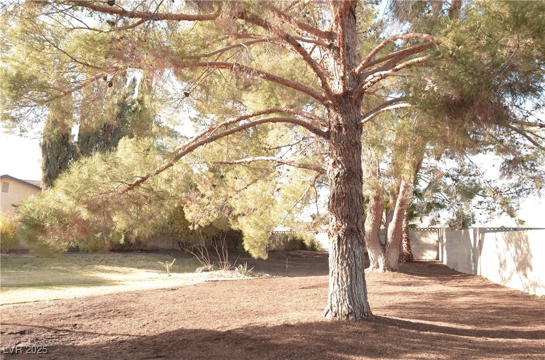 1804 Piccolo Way