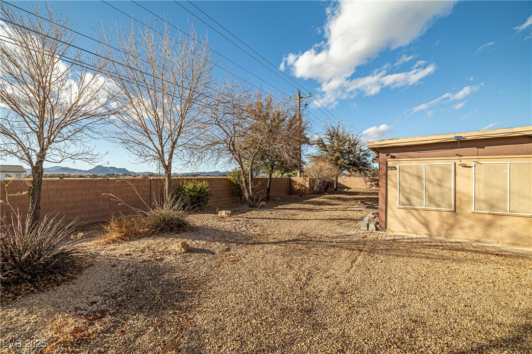 210 Bristle Cone