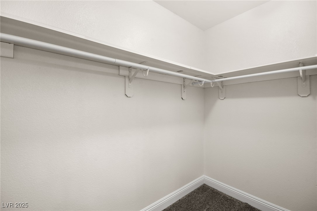 1036 Aspen Daisy Avenue