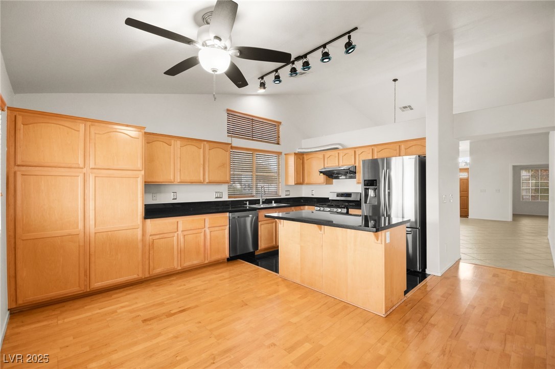 1036 Aspen Daisy Avenue