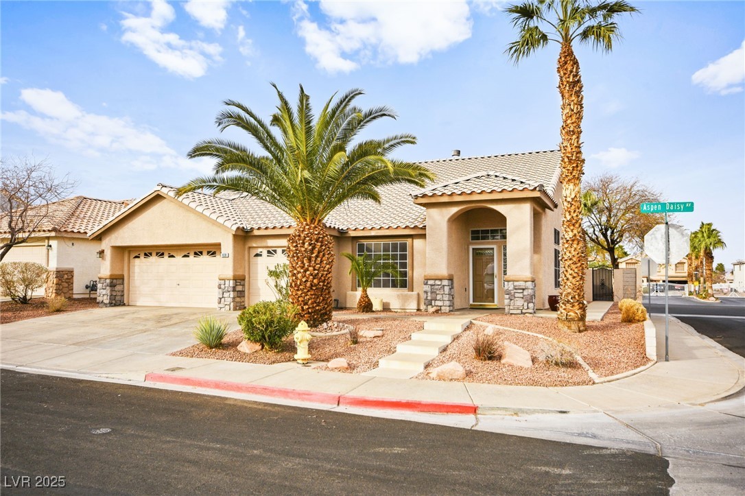 1036 Aspen Daisy Avenue