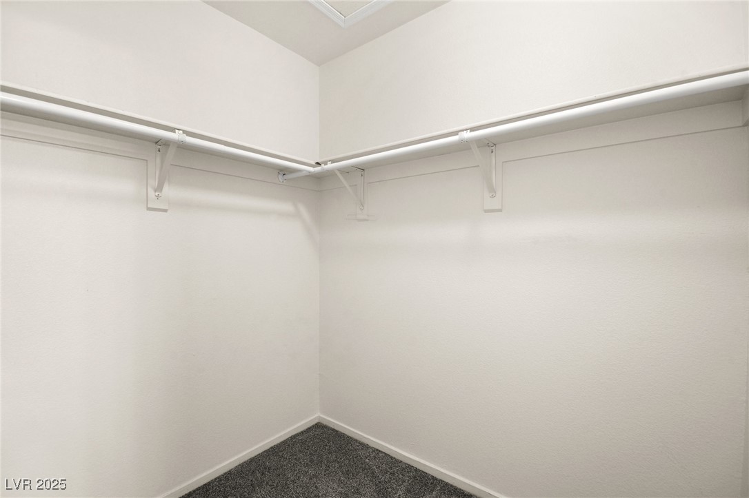 1036 Aspen Daisy Avenue