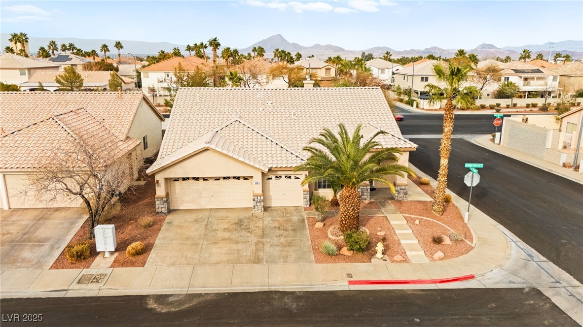 1036 Aspen Daisy Avenue