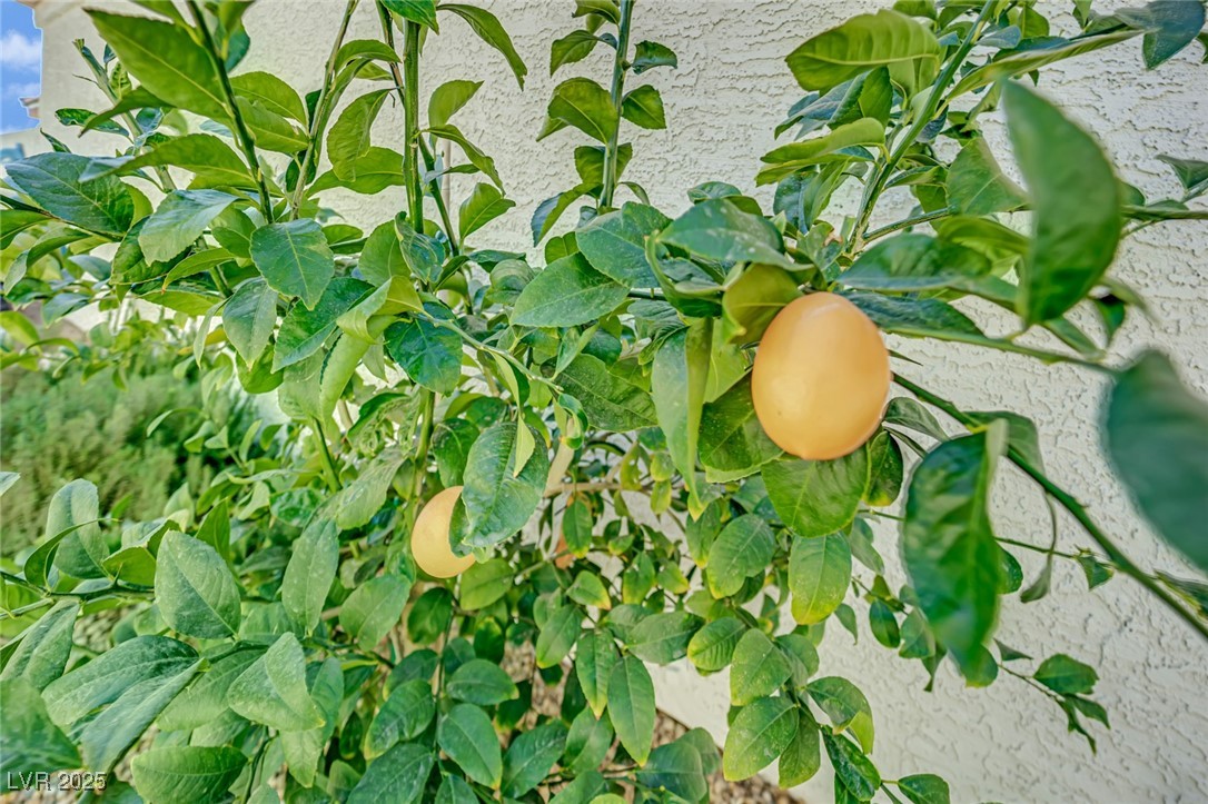 5328 Byron Nelson Lane