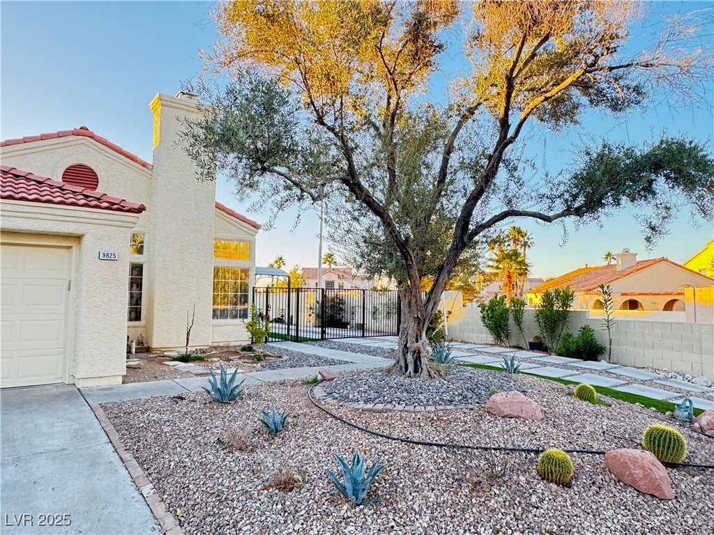 9825 Tehama Court