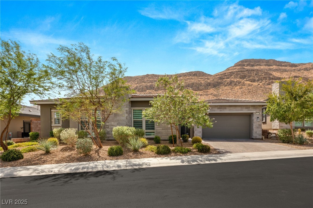 10031 Terrastone Drive