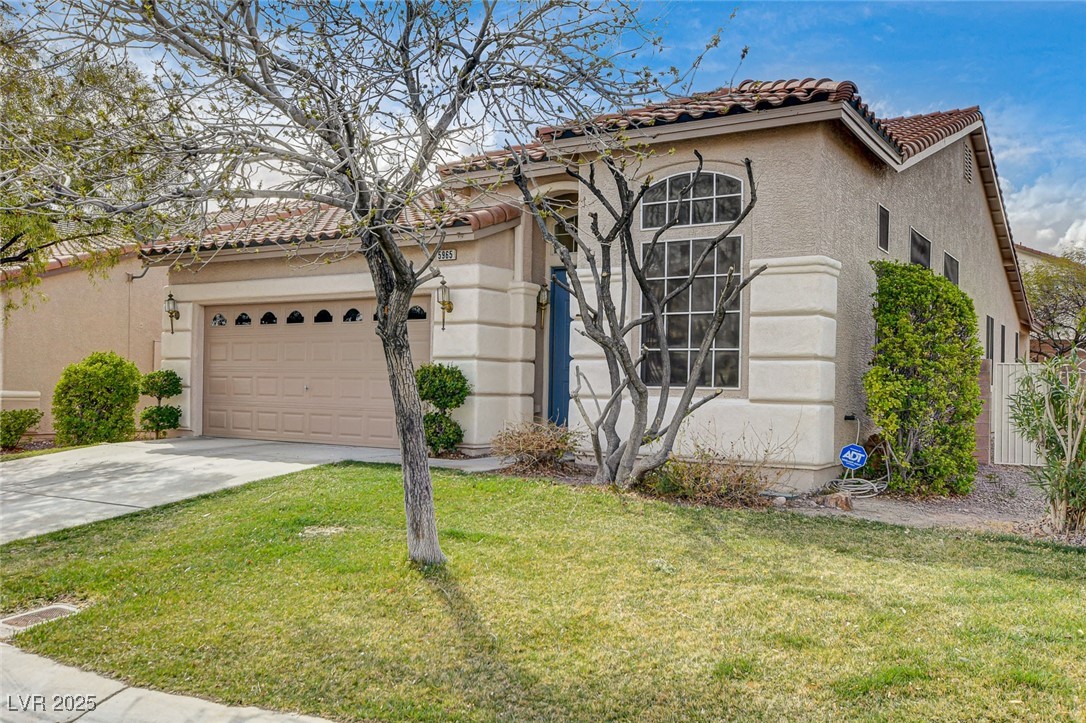 5965 Poplar Tree Street