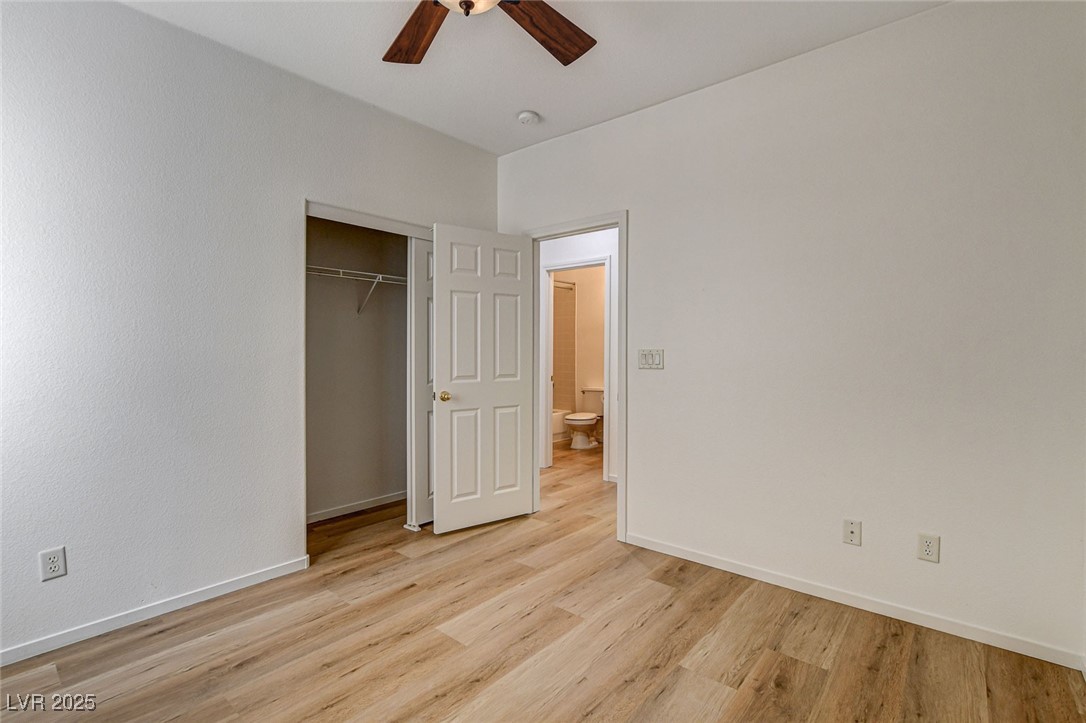 5965 Poplar Tree Street