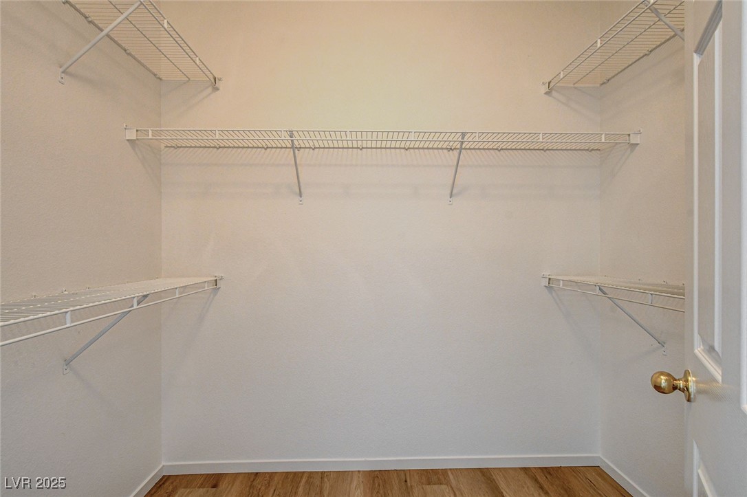 5965 Poplar Tree Street