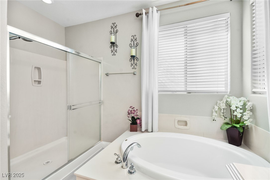 8145 Mountain Forest Court