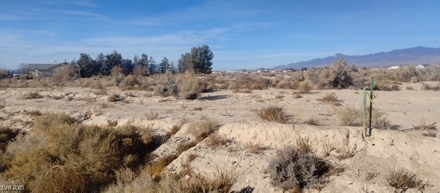 2200 East Cactus Street