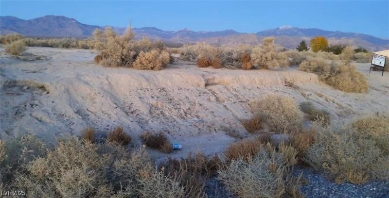 2200 East Cactus Street