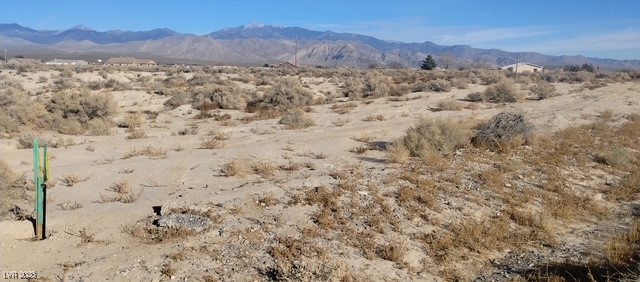 2200 East Cactus Street